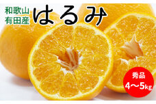 U6308_はるみ 秀品 約4～5kg 和歌山県有田産