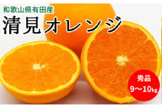 U6303_清見オレンジ 秀品 約9～10kg 和歌山県有田産