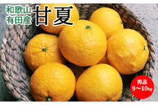 U6304_甘夏 秀品 約9～10kg 和歌山県有田産