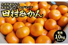 U6244_「高級 田村みかん」 青秀 約10kg Sサイズ 和歌山県有田産 有田みかん