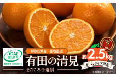 ZE6367n_【2026年先行予約】和歌山県産 有田の 清見 2.5kg (S～2Lサイズ混合)【まごころ手選別】