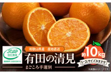 ZE6366n_【2026年先行予約】和歌山県産 有田の 清見 10kg (S～2Lサイズ)【サイズおまかせ】【まごころ手選別】