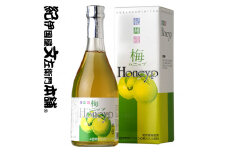 V7263_梅ハニップ Honeyp 590g 【緑】 3本セット 希釈用 梅ドリンク 梅ジュース うめ 紀州産青梅果汁使用 化粧箱入り プラム食品 (F005)