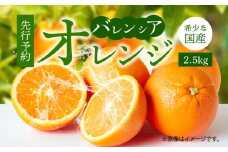 G7078_希少な 国産 バレンシアオレンジ 2.5kg 秀品