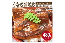 AZ6023_うなぎ蒲焼き 2尾入 (合計480g) 蒲焼たれ2袋（山椒付き）