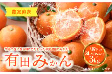 AX6054n_【平武農園より農家直送！】有田みかん 訳あり3kg (3L～3S) 蛍飛ぶ町から旬の便り