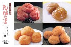 DR6013_特選 紀州南高梅 梅干し 「白梅の里」 4種 食べ比べセット