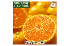 DI6003n_有田みかん 3kg 秀品
