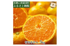 DI6006n_有田みかん 5kg 秀品 (サイズおまかせ)