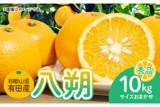 DI6014n_和歌山県有田産 八朔 10kg 秀品