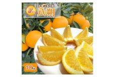 DI6015n_和歌山県有田産 八朔 10kg 訳あり