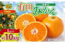 ZJ6091_【ご家庭用】和歌山 有田みかん 約10kg Lサイズ【湯浅町】