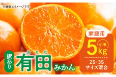 DZ6205_【ふるさと納税】 ご家庭用 有田みかん 和歌山 小玉(2S,3Sサイズ混合) 約5kg