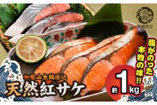 G7317_リピーター続出！ 高評価 魚鶴仕込の天然 紅サケ 紅鮭 鮭 サーモン 切身 切り身 約1kg レビュー高評価 小分け 真空パック 梅酒 真昆布 使用 だし まろやか 天然 鮭 魚 海の幸 海鮮 魚介 食品 食べ物 おかず お弁当 水産加工品 冷凍 グルメ お取り寄せ 和歌山県 湯浅町 送料無料