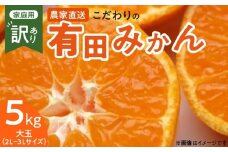 ZT6300_【2025年先行予約】こだわりの 有田みかん 大玉 5kg (2L～3Lサイズ)【訳あり 家庭用】