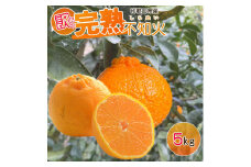 EA6107_【訳あり・ご家庭用】 和歌山県産 完熟 不知火 5kg 甘酸っぱい味わいと芳醇な風味がたまらない高級柑橘!