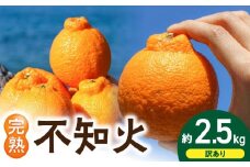 EA6020n_【訳あり・ご家庭用】 和歌山県産 完熟 不知火 2.5kg 甘酸っぱい味わいと芳醇な風味がたまらない高級柑橘!