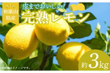 EA6011n_和歌山県産 完熟 レモン 3kg 皮まで使用可能（栽培期間中農薬不使用）