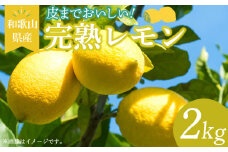 EA6010n_和歌山県産 完熟 レモン 2kg 皮まで使用可能（栽培期間中農薬不使用）