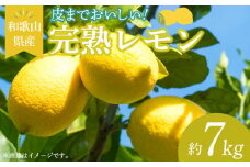 EA6012n_和歌山県産 完熟 レモン 7kg 皮まで使用可能（栽培期間中農薬不使用）