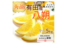 DI6029n_和歌山県有田産 八朔 5kg 秀品 (M～2Lサイズおまかせ)