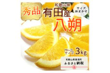 DI6032n_和歌山県有田産 八朔 3kg 秀品 (M～2Lサイズおまかせ)