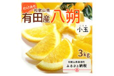 DI6034n_和歌山県有田産 八朔 小玉3kg 訳あり