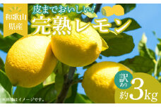 EA6022n_【訳あり・ご家庭用】完熟 レモン 3kg 皮まで使用可能（栽培期間中農薬不使用）