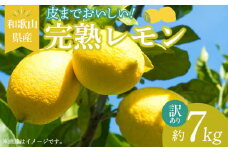 EA6024n_【訳あり・ご家庭用】完熟 レモン 7kg 皮まで使用可能（栽培期間中農薬不使用）