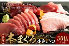 AZ6019_本マグロ（養殖）赤身＆トロセット 500g