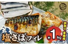 G7014_【訳あり 家庭用】無添加 塩さば フィレ 1kg