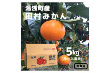 BL6015n_【産地直送】和歌山 湯浅町産 田村みかん  5kg  2L～3Lサイズ混合
