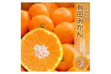 EA6016n_濃厚な味わいのこだわり 有田みかん 3kg (早生みかん・大小混合)