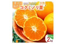 DS6005n_果汁溢れる 完熟 有田みかん 「コクミノリ果」2kg 訳あり L～2Sのおまかせ