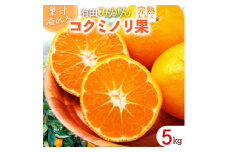 DS6008n_果汁溢れる 完熟 有田みかん 「コクミノリ果」5kg L～2Sのおまかせ