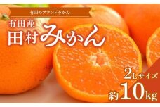 ZD6393n_【2025年先行予約】 数量限定 【ブランドみかん】 田村みかん 約10kg (2Lサイズ) 【みかん/和歌山県湯浅町】