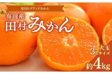 ZD6382n_【2025年先行予約】 数量限定 【ブランドみかん】 田村みかん大玉 約10kg (3Lサイズ) 【みかん/和歌山県湯浅町】