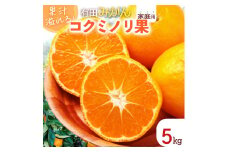 DS6009n_果汁溢れる 完熟 有田みかん 「コクミノリ果」5kg 家庭用 L～2Sのおまかせ【ミカン 蜜柑 柑橘 温州みかん 有田みかん 和歌山】