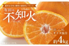 ZD6380n_【2026年先行予約】【濃厚】有田産不知火約4kg（2L～5Lサイズ混合）