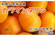 ZD6705n_【2026年先行予約】【春みかん】和歌山県 有田産 カラマンダリン 約5kg（サイズ混合　ご家庭用）