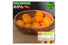 BT6009_【2025年先行予約】和歌山県有田産 みかん 10kg×2箱 2L～3Sサイズ（おまかせ）【訳あり・家庭用】