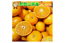BL6161n_【産地直送】和歌山県産 せとか 2.5kg (M～3Lサイズ混合) 秀品
