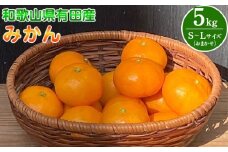 BT6011n_【2025年先行予約】和歌山県有田産 みかん 5kg　L～Sサイズ（おまかせ）
