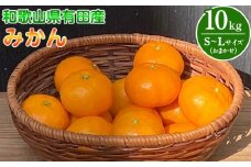 BT6013n_【2025年先行予約】和歌山県有田産 みかん 10kg　L～Sサイズ（おまかせ）