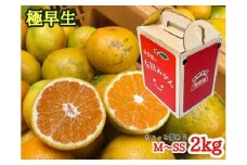 ZF6304n_ちょっと傷あり【極早生・有田みかん】M～SSサイズ 約2kg