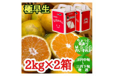ZF6026n_ちょっと 傷あり 極早生 みかん 有田 M～SSサイズ 約2kg × 2箱 手さげ箱 南泰園