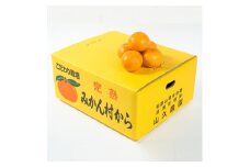 ZP6108n_【ふるさと納税】有田みかん 特撰秀 7kg (Sサイズ)【ミカン 蜜柑 柑橘 温州みかん 和歌山 有田】