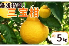 ZP6106n_湯浅特産！ 三宝柑 5kg