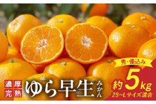 DA6107n_北真農園 有田みかん ゆら早生 濃厚完熟 5kg お試しサイズ （秀・優混み 2Sサイズ～Lサイズ混合） ORYY推奨