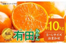 DZ6200_11_【2025年11月発送】【ふるさと納税】  秀品 有田みかん 和歌山県産 S ～ Lサイズ 大きさ お任せ 容量 約10kg 